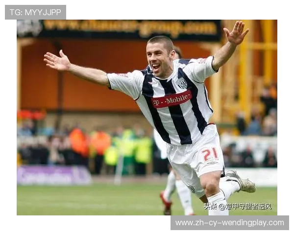 西布朗维奇的英超之路与未来展望